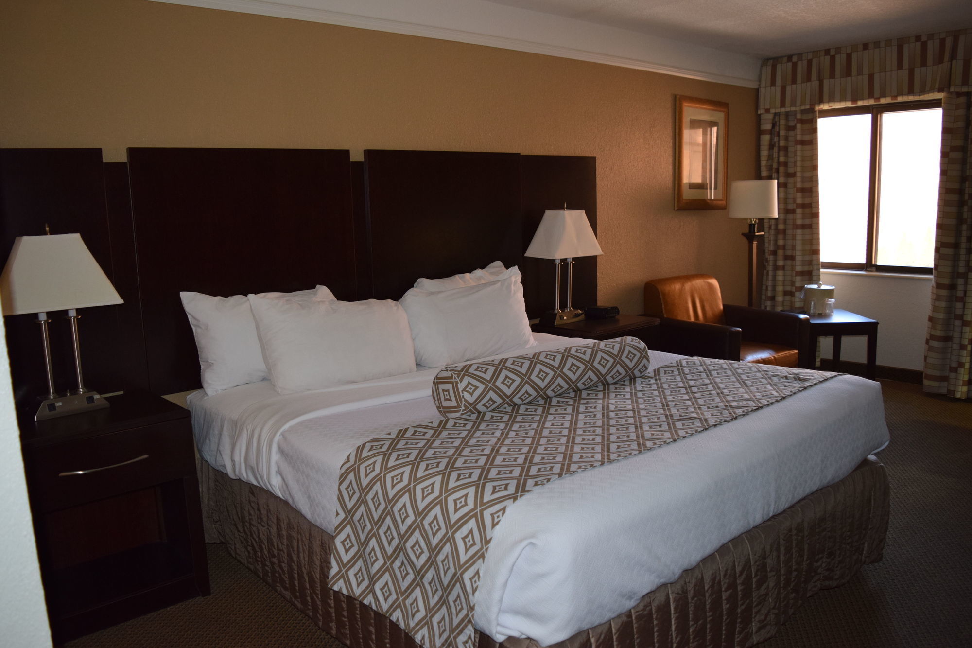 Four Points By Sheraton Detroit Novi Rom bilde